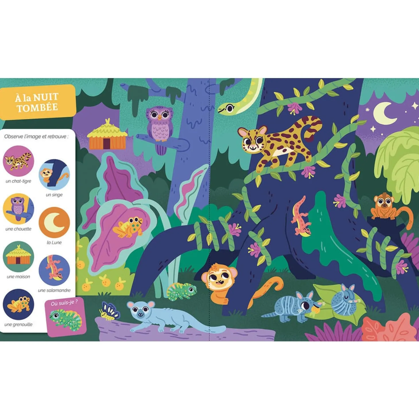 Auzou La jungle et la savane Multicolore