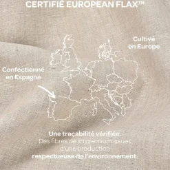 Béaba Coussin d'allaitement Big Flopsy Lin Naturel