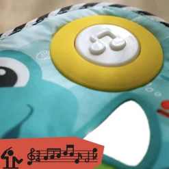 Baby Einstein                    Clavier musical à suspendre Neptune la Tortue    Multicolore