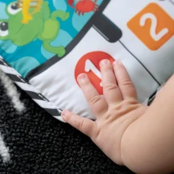 Baby Einstein                    Clavier musical à suspendre Neptune la Tortue    Multicolore