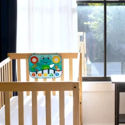 Baby Einstein                    Clavier musical à suspendre Neptune la Tortue    Multicolore