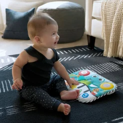 Baby Einstein                    Clavier musical à suspendre Neptune la Tortue    Multicolore