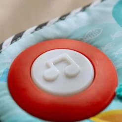 Baby Einstein                    Clavier musical à suspendre Neptune la Tortue    Multicolore