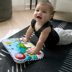 Baby Einstein                    Clavier musical à suspendre Neptune la Tortue    Multicolore