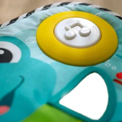 Baby Einstein                    Clavier musical à suspendre Neptune la Tortue    Multicolore