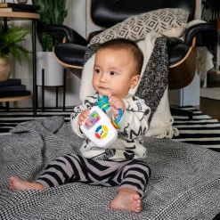 Baby Einstein Jouet musical Maritime Melodies Multicolore