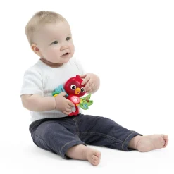 Baby Einstein Jouet Musical Roxy l'oiseau Rouge