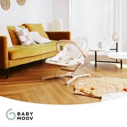Babymoov                    Arche de Jeux Transat Swoon Flow    Multicolore