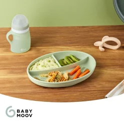 Babymoov                    Gourde Silicone    Green