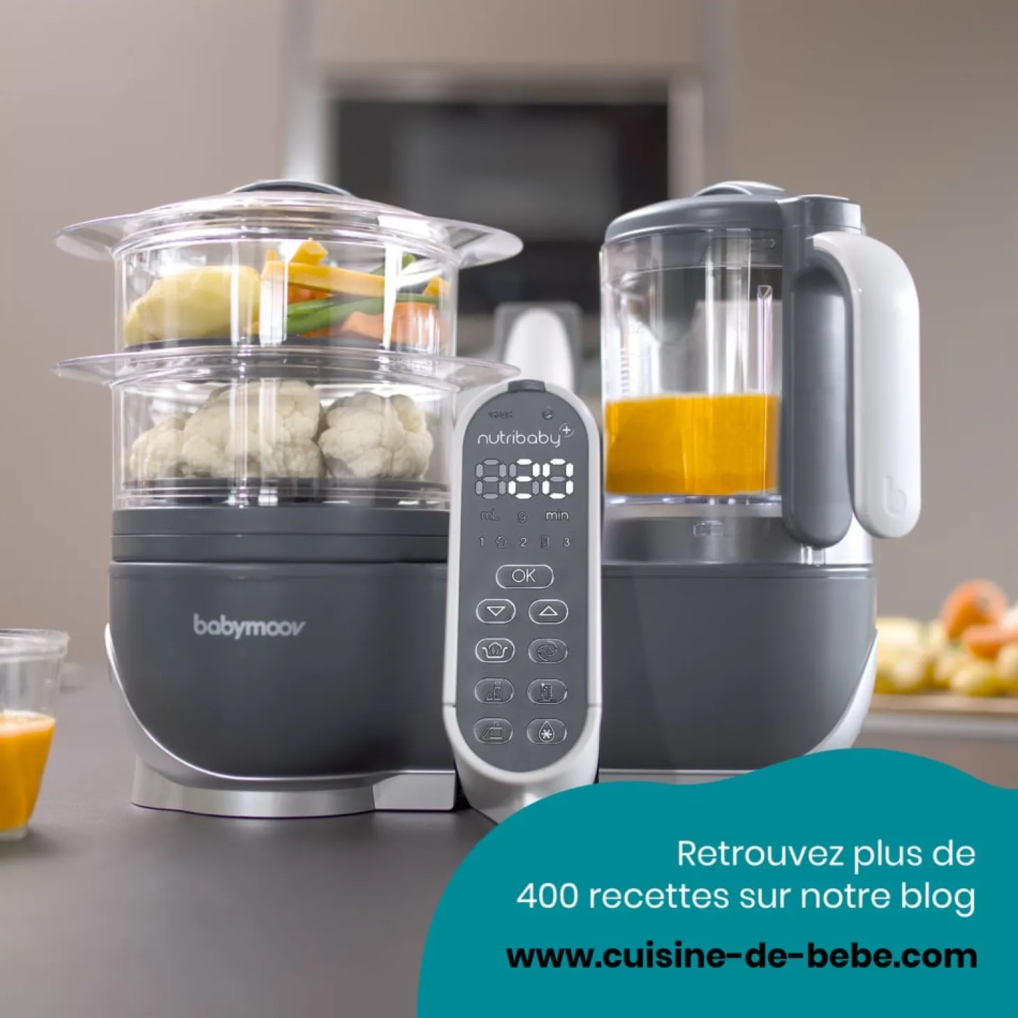 Babymoov Robot multifonction Nutribaby Plus Industrial Grey