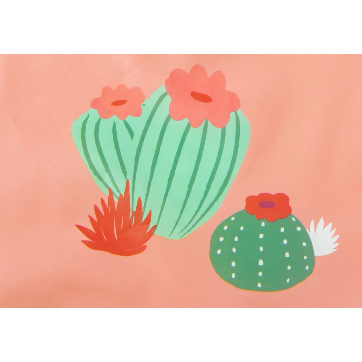 BabyToLove Lot de 2 bavoirs bi-matières Cactus Garden
