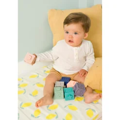 BabyToLove Mes premiers cubes éducatifs