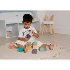 BabyToLove Mes premiers cubes éducatifs