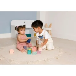 BabyToLove Mes premiers cubes éducatifs