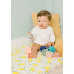 BabyToLove Mes premiers cubes éducatifs
