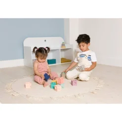 BabyToLove Mes premiers cubes éducatifs