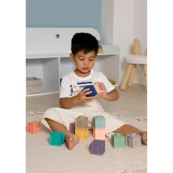 BabyToLove Mes premiers cubes éducatifs