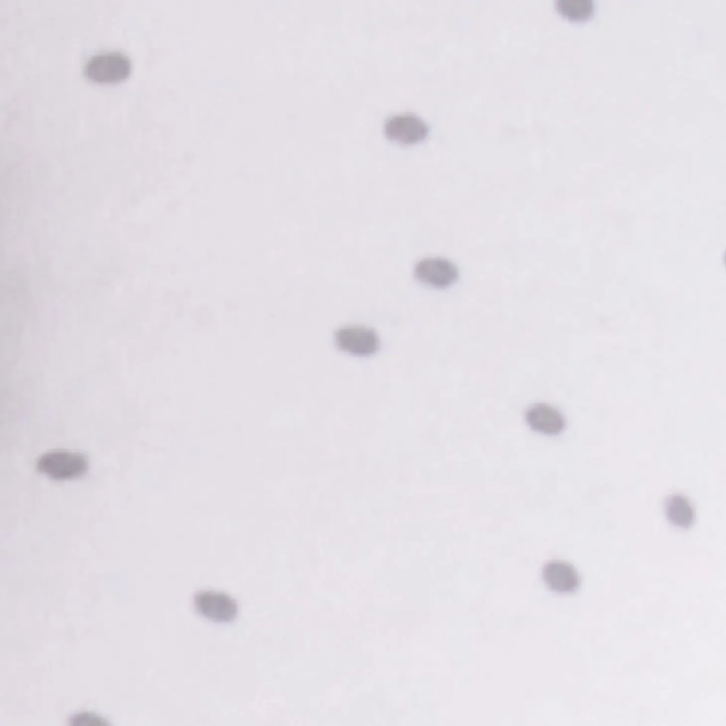 Candide Panda pad premium