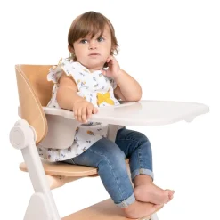 Chicco Chaise Haute Meraviglia Fossil