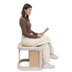 Chicco MERAVIGLIA Solution 4en1 Evolutive Fossil