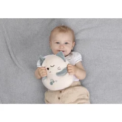 Chicco Peluche Chaton gris