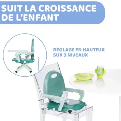 Chicco Rehausseur Pocket Snack Sage