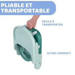 Chicco Rehausseur Pocket Snack Sage