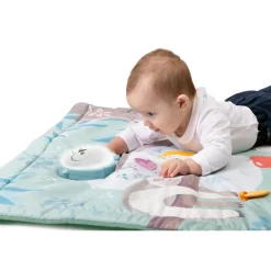 Chicco Tapis d'éveil Hibou 2 en 1 Multicolore