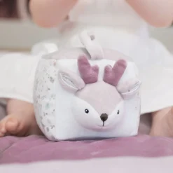 Domiva                    Cube d'activités    Lilas