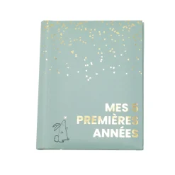Domiva                    Mon livre de naissance mes 5 premieres années    Sauge Gold