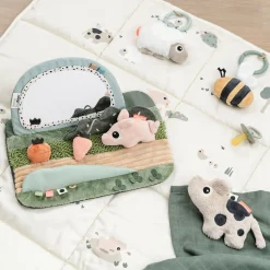 Done by Deer                    Miroir d'éveil Tummy time Tiny farm    Multicolore