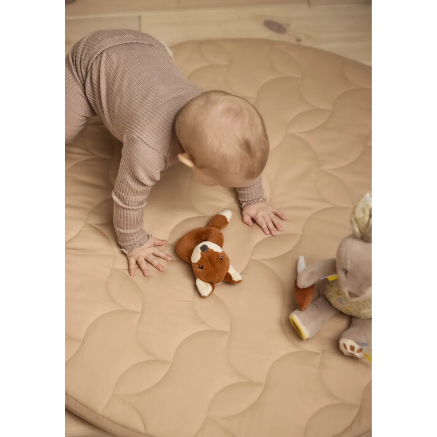 Filibabba Hochet Freddy le renard Multicolore