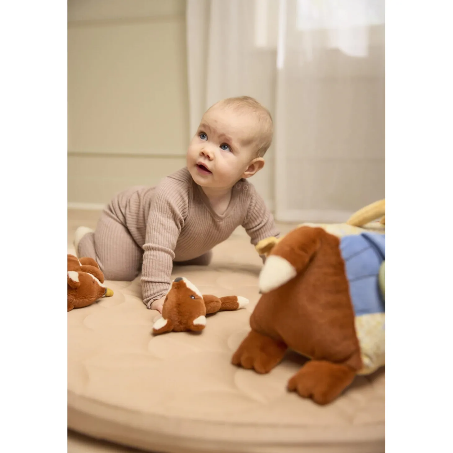 Filibabba Hochet Freddy le renard Multicolore