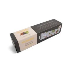 Filibabba Kaléidoscope boule de cristal Créatures Curieuses Multicolore