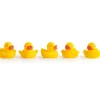 Formula Baby                    Canards de bain x5