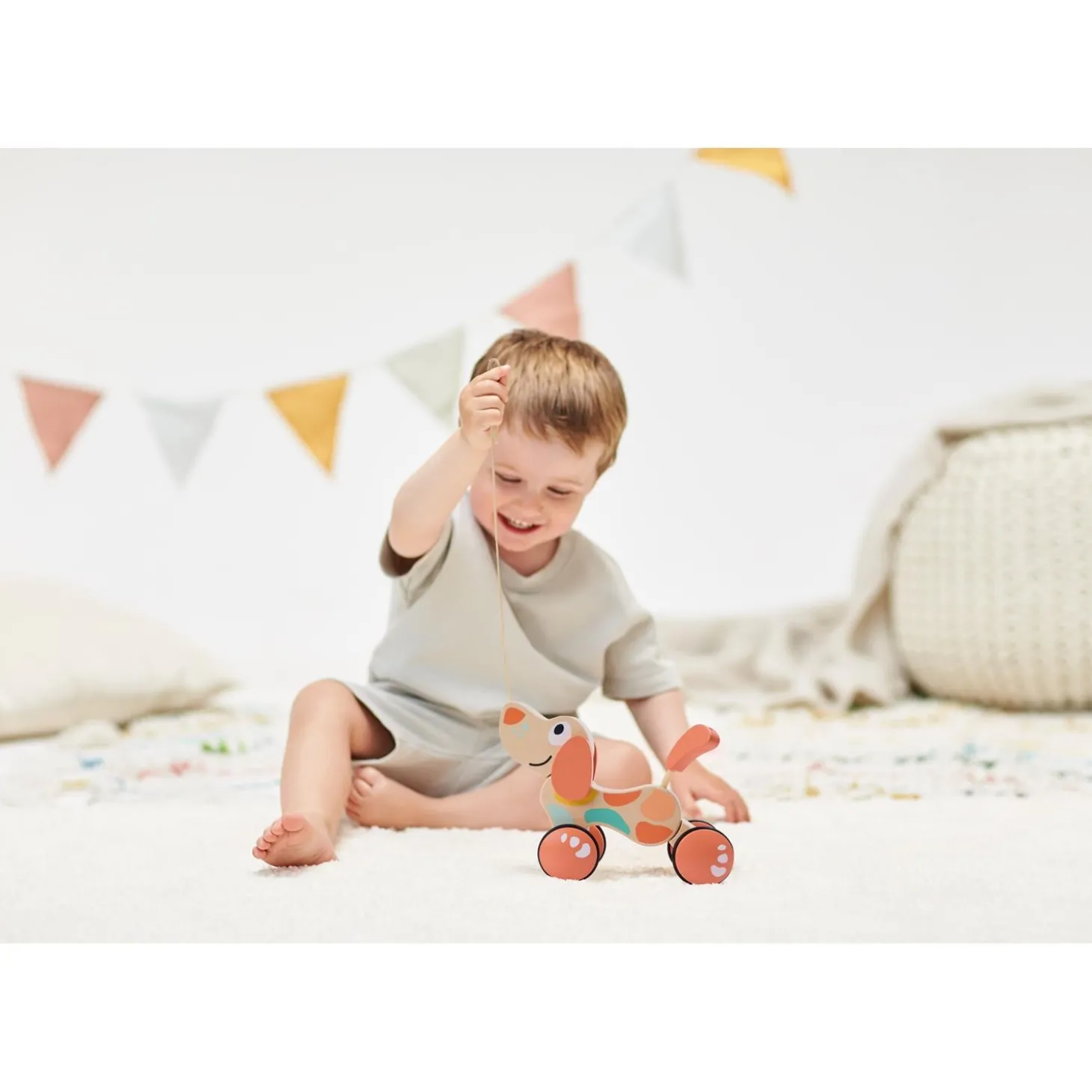 Hape Jouet Chien Puppy Edition limitée Bois Et Corail