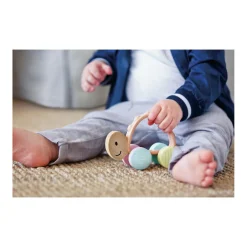 Hape                    Jouet Tortue turbo à rouler    Multicolore
