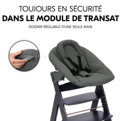 Hauck Chaise haute avec siège nouveau-né Alpha Newborn Set Plus Dark Grey