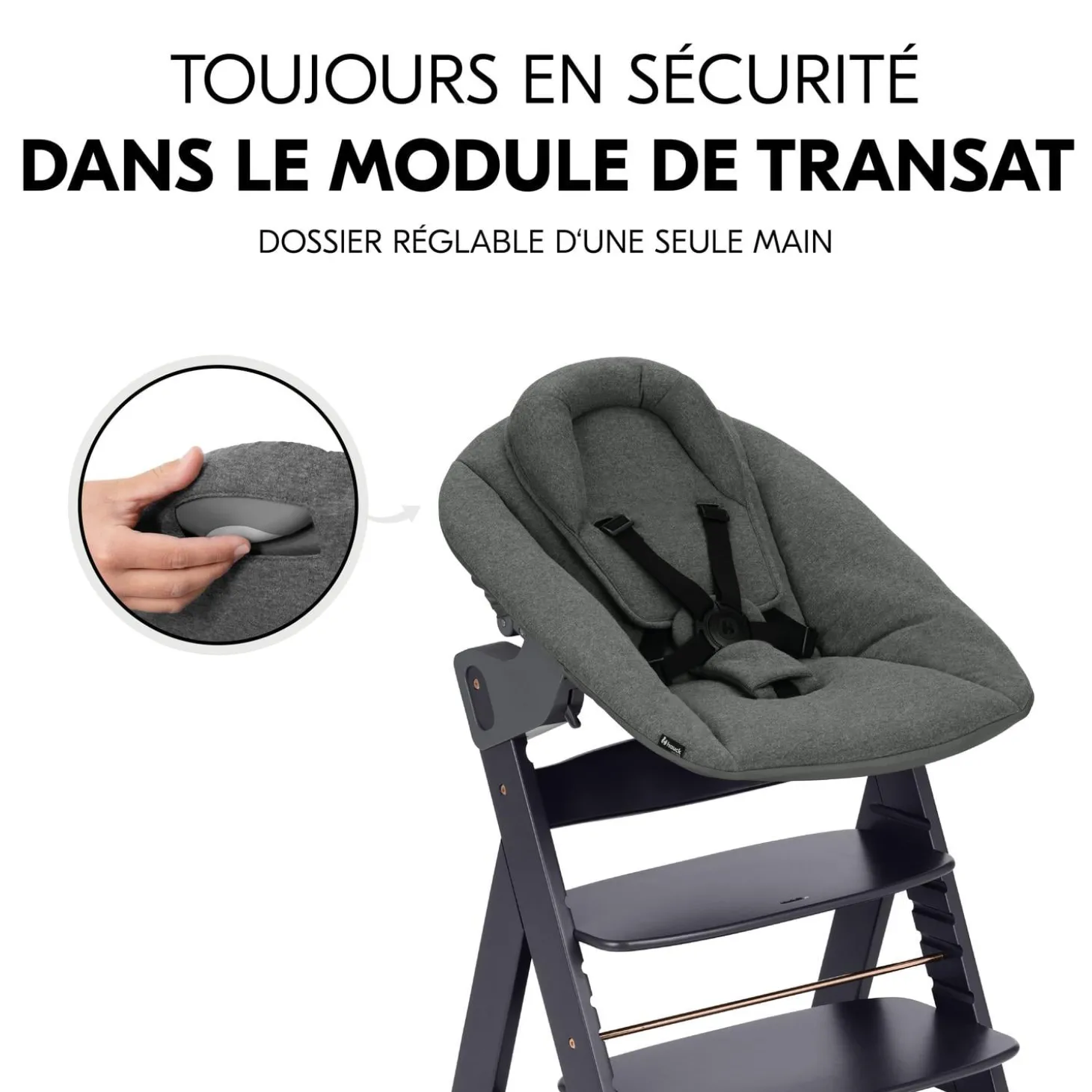 Hauck Chaise haute avec siège nouveau-né Alpha Newborn Set Plus Dark Grey