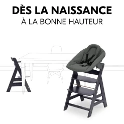 Hauck Chaise haute avec siège nouveau-né Alpha Newborn Set Plus Dark Grey