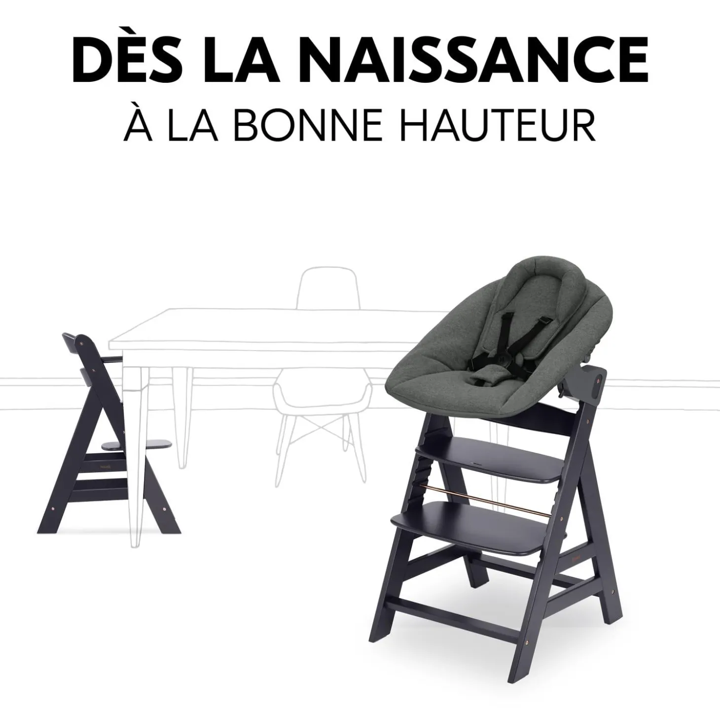 Hauck Chaise haute avec siège nouveau-né Alpha Newborn Set Plus Dark Grey
