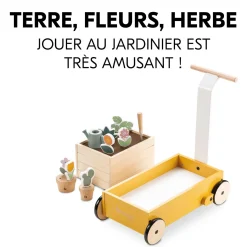 Hauck                    Chariot de marche Learn To Walk    Plants