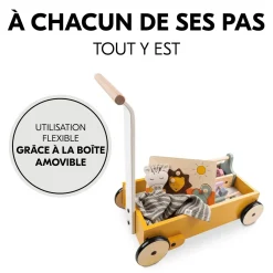 Hauck                    Chariot de marche Learn To Walk    Plants