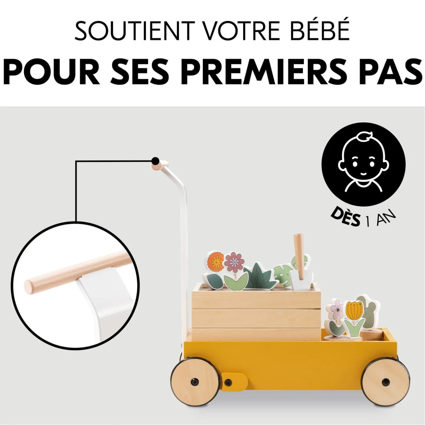 Hauck Chariot de marche Learn To Walk Plants