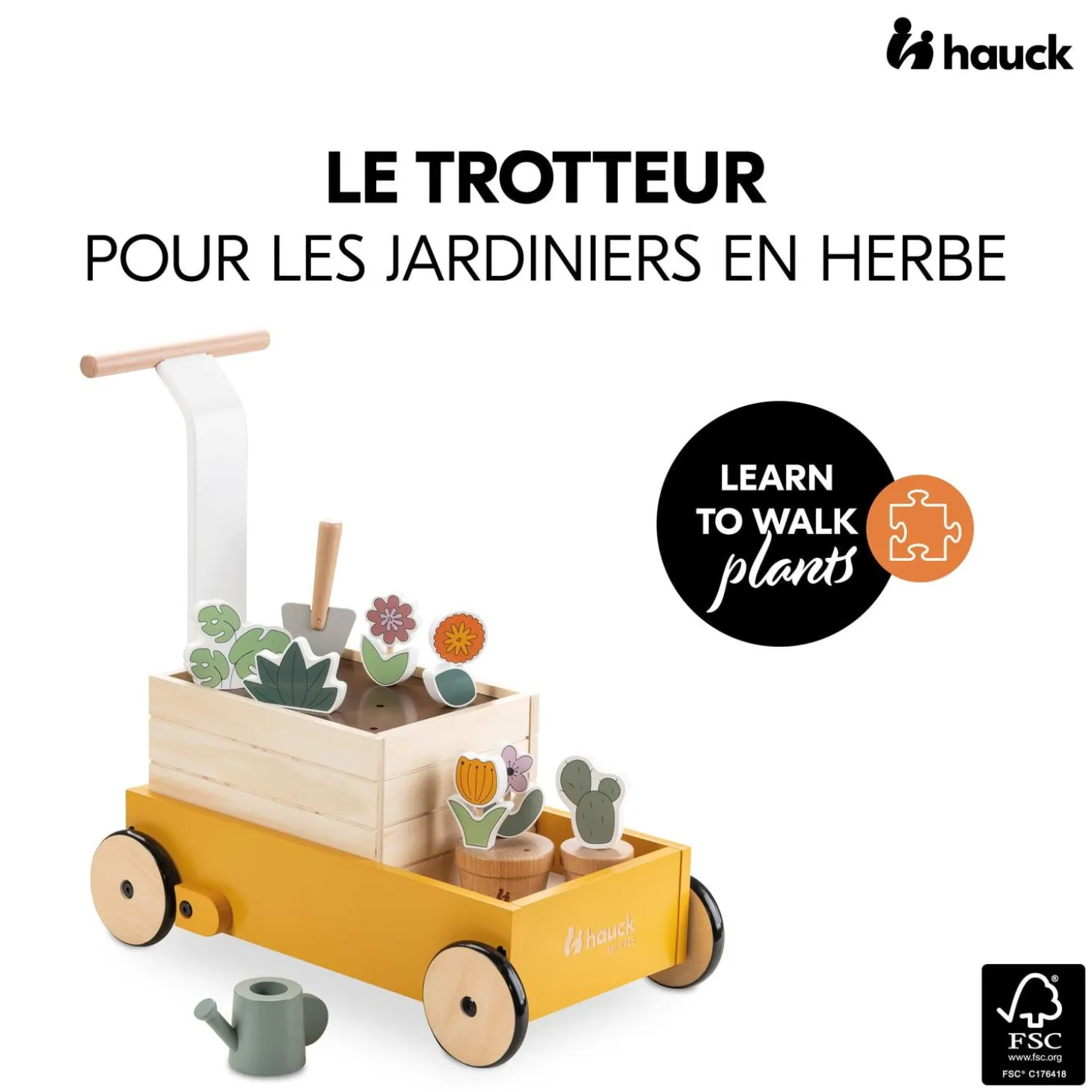Hauck Chariot de marche Learn To Walk Plants