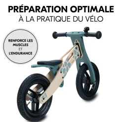 Hauck Draisienne Balance N Ride Turtle