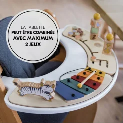 Hauck                    Table D'activité Musicale Play Music    Zebra