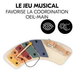Hauck                    Table D'activité Musicale Play Music    Zebra