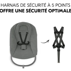 Hauck Transat Alpha Bouncer Premium Dark Grey