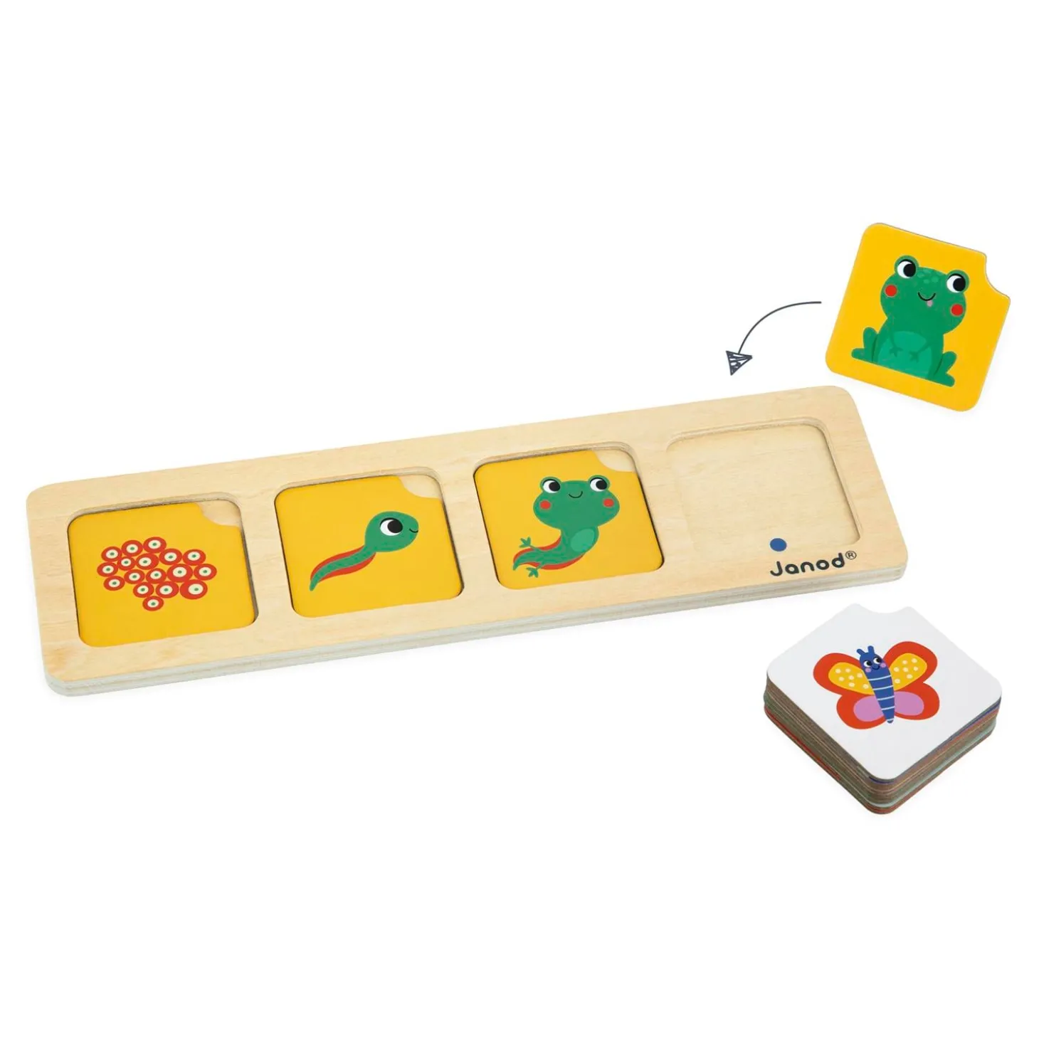 Janod Cartes sequences le jardin